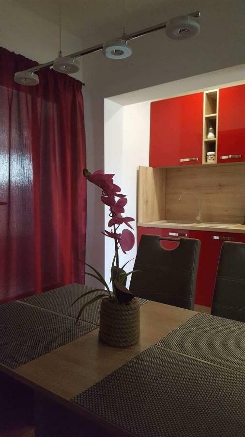 Apartment Goran & Nela Umag Exteriér fotografie